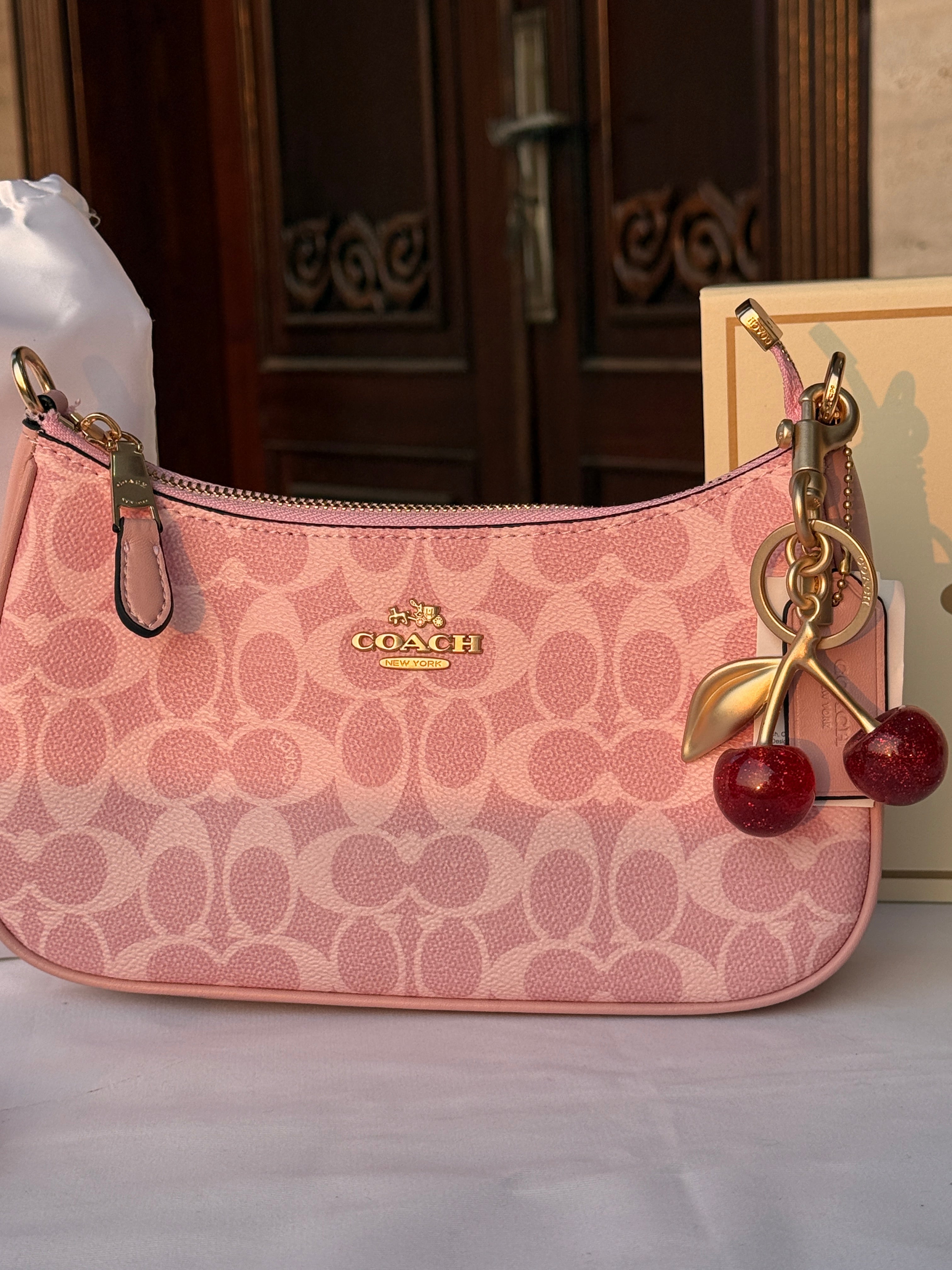COACH PINK EXTRA PATTERN BACK WITH 2 CHERRY STRIPS