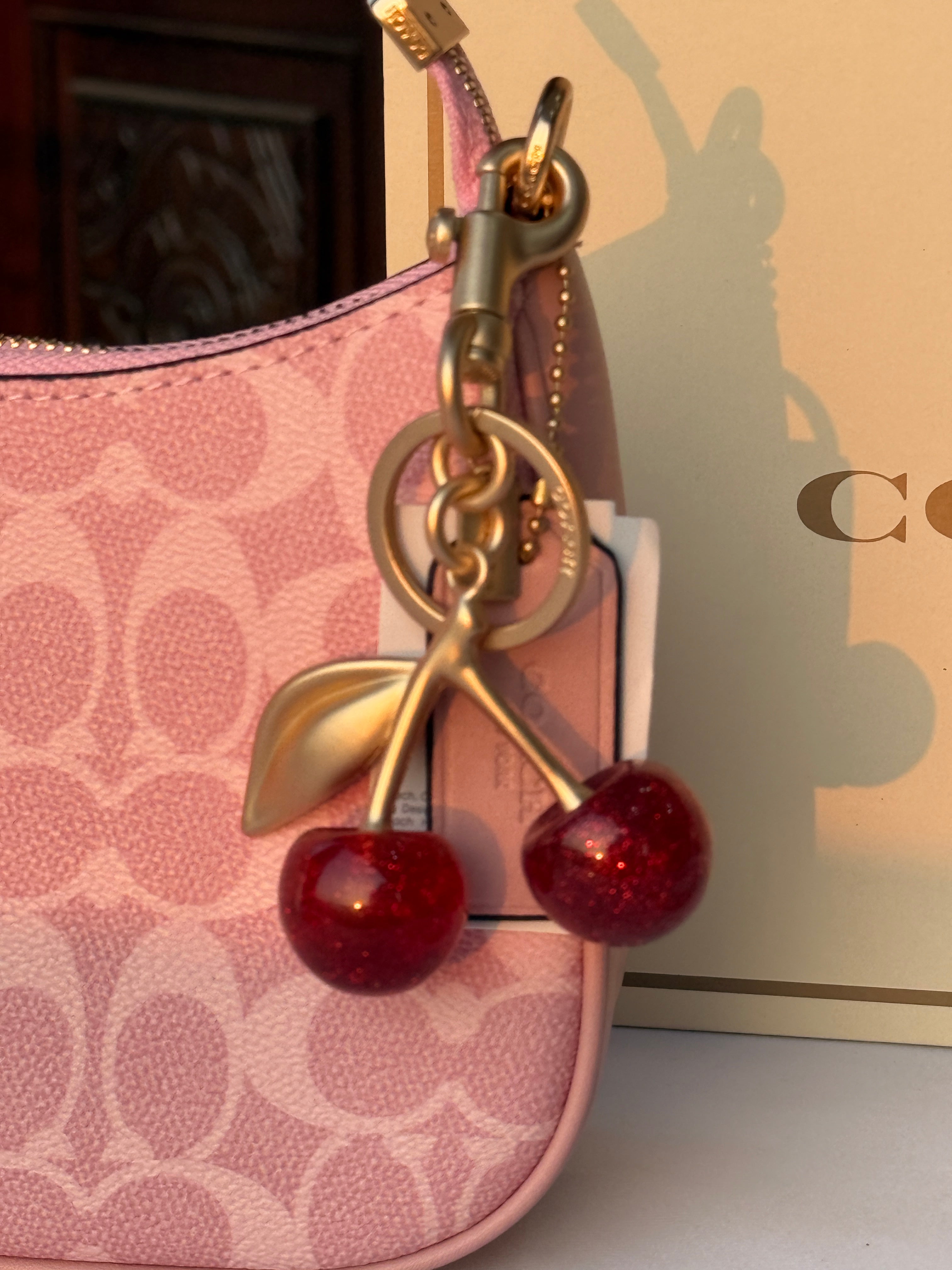 COACH PINK EXTRA PATTERN BACK WITH 2 CHERRY STRIPS